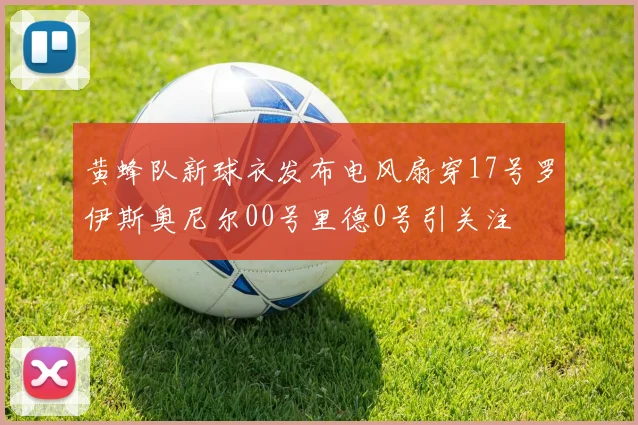 黄蜂队新球衣发布电风扇穿17号罗伊斯奥尼尔00号里德0号引关注