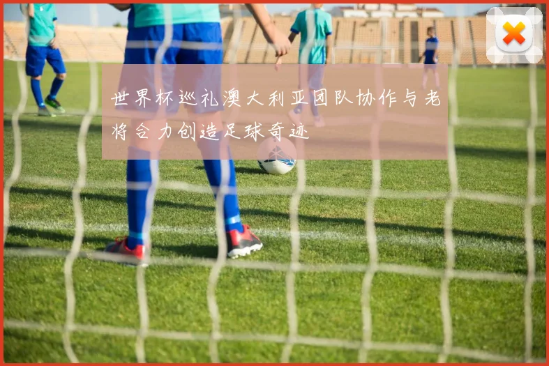 世界杯巡礼澳大利亚团队协作与老将合力创造足球奇迹