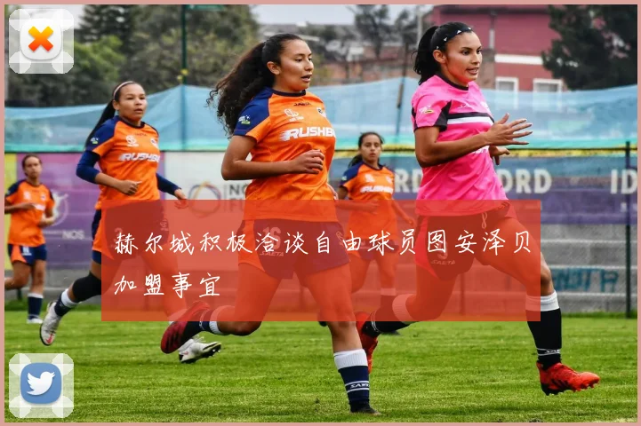 赫尔城积极洽谈自由球员图安泽贝加盟事宜